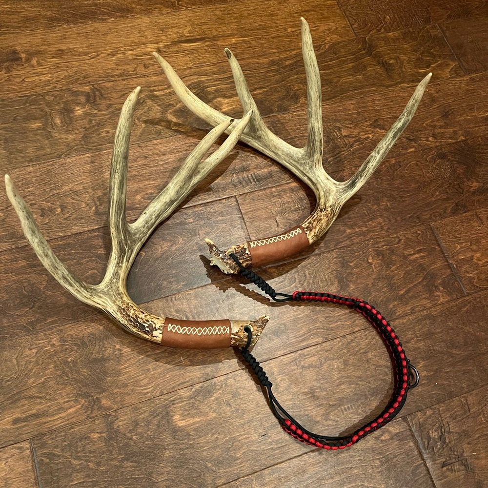 Deer Rattling Antlers - Picture 5 of 5